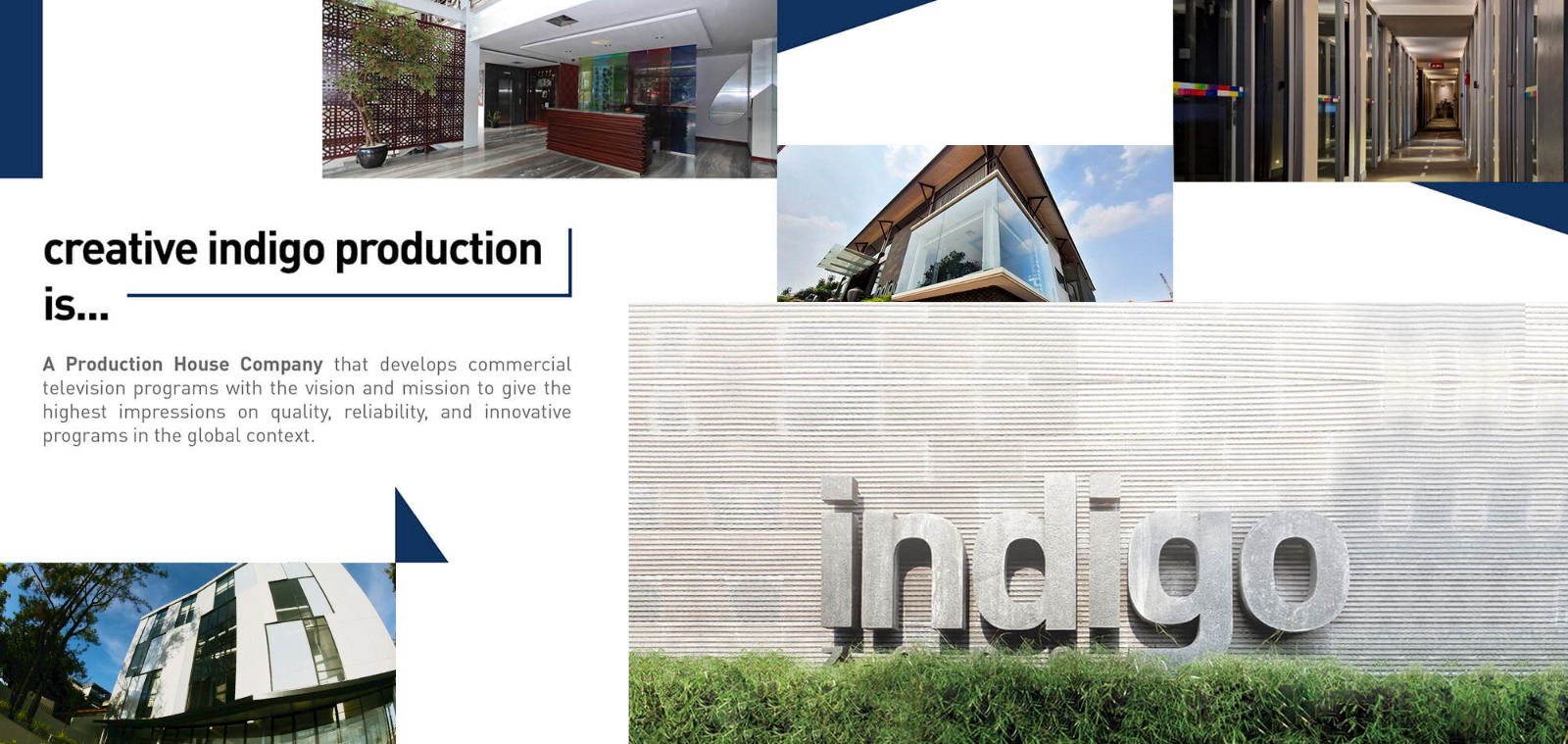 Indigo_CompanyProfile_0305182.jpg